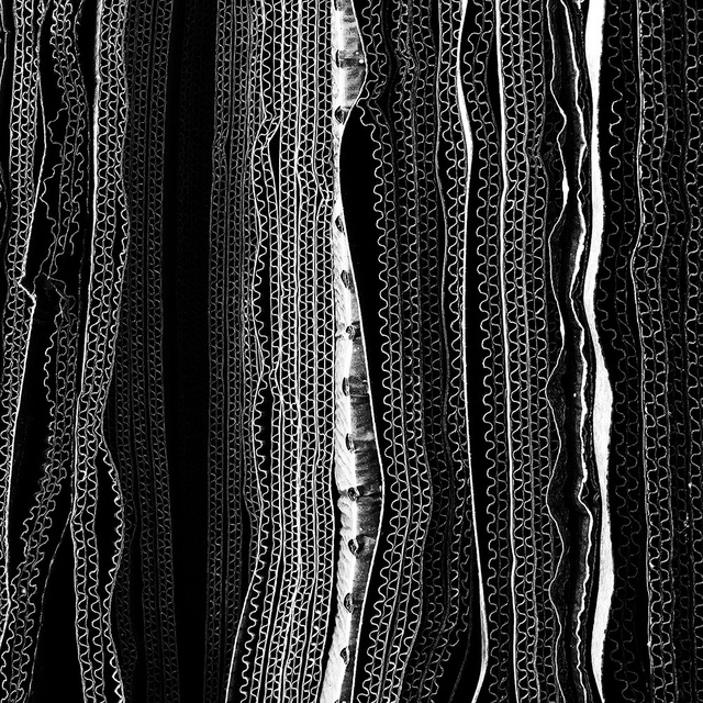 Một bức ảnh đen trắng chụp những mẫu bìa cứng xếp cạnh nhau của nhiếp ảnh gia người Úc Glenn Homann, chụp bằng iPhone X, đã giành giải nhất trong chuyên mục ảnh “Trừu tượng”.
