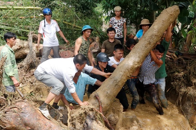 Lực lượng cứu hộ và người dân bản Tủ, xã Sơn Lương, huyện Văn Chấn đang di chuyển cây cối bị lũ cuốn để tìm người mất tích. (Ảnh: Việt Dũng/TTXVN)