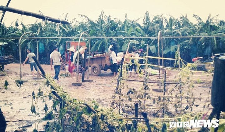   Hơn một ngày dọn dẹp nhưng nơi sống của những người Việt đang làm việc tại nông trường của Công ty Hoàng Anh Gia Lai vẫn còn khá hỗn độn, bừa bộn.