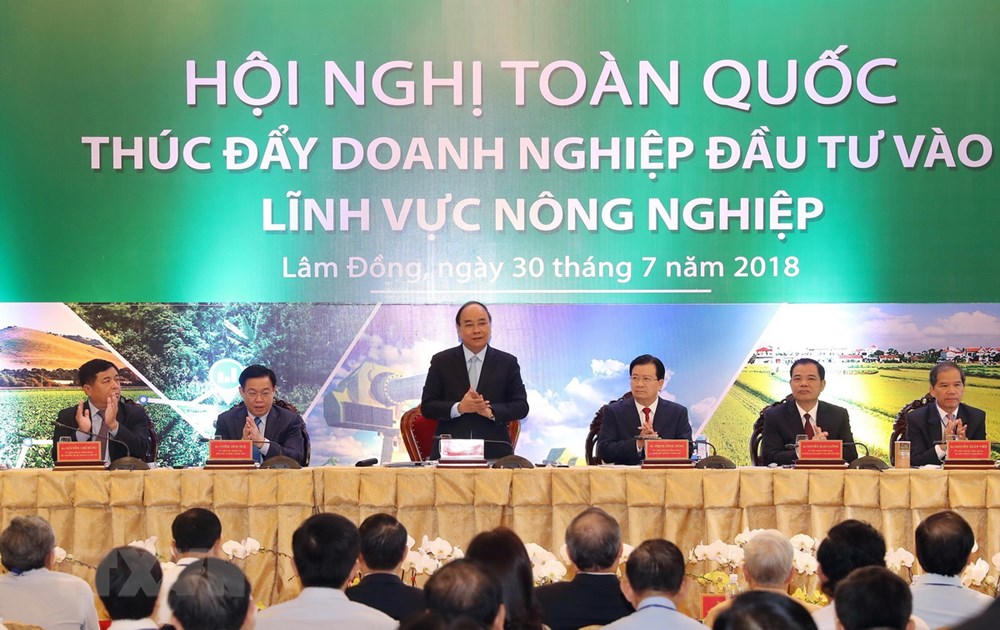 Thủ tướng Nguyễn Xuân Phúc, các Phó Thủ tướng Vương Đình Huệ, Trịnh Đình Dũng và các đại biểu chủ trì hội nghị. (Ảnh: Thống Nhất/TTXVN)