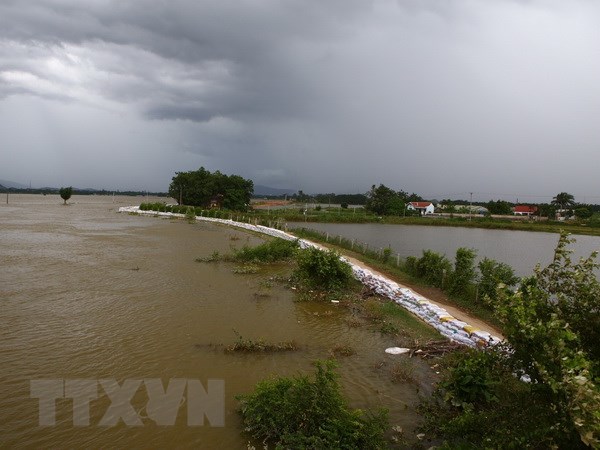 Đà Nẵng đến Bình Thuận có mưa lớn diện rộng từ ngày 6 đến 8-8