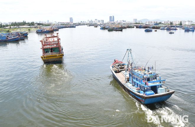 Âu thuyền và Cảng cá Thọ Quang: Hướng tới trung tâm nghề cá lớn