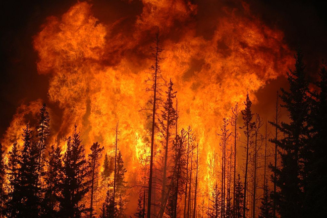 Cháy rừng ở Canada.