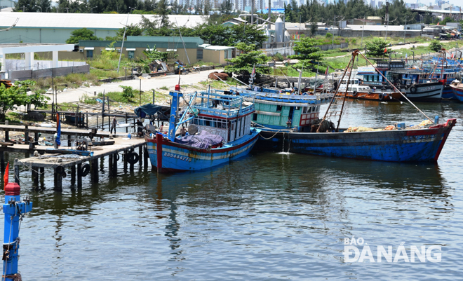Âu thuyền và Cảng cá Thọ Quang hiện nay đã quá tải do tàu cá ở các địa phương khác về nhiều và có nhiều hạng mục công trình xuống cấp.