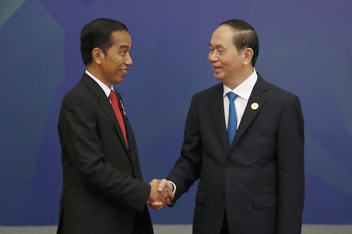 Chủ tịch Trần Đại Quang tiếp đón Tổng thống Indonesia Joko Widodo tới dự APEC 2017 tại Đà Nẵng. Ảnh: AFP.