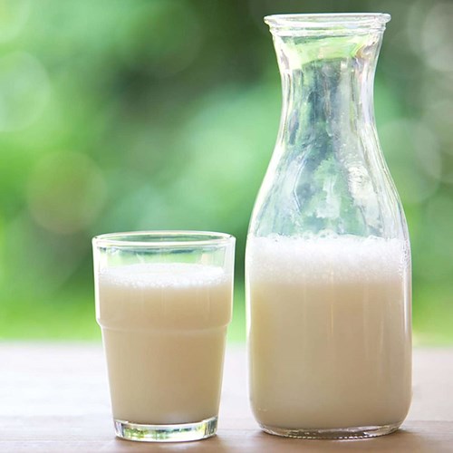 Sữa tươi: Sữa tươi nếu bảo quản ở ngăn đá có thể bị đóng cục khi rã đông, vì vậy, đây không phải là ý tưởng hay nếu sữa để uống. Nếu bạn muốn dùng nấu ăn, sữa đông lạnh vẫn có tác dụng khi bạn rã đông đảm bảo bằng cách bảo quản trong ngăn lạnh nhiều giờ, có thể lên tới một ngày hoặc lâu hơn tùy thuộc vào chất liệu của hộp đựng.  