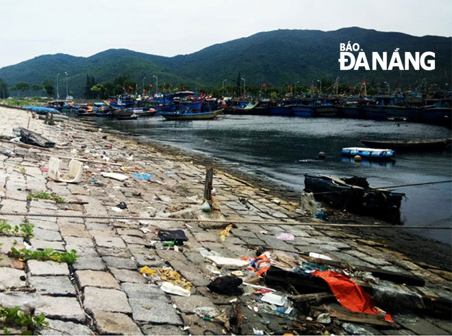 Âu thuyền và Cảng cá Thọ Quang vẫn ô nhiễm nặng