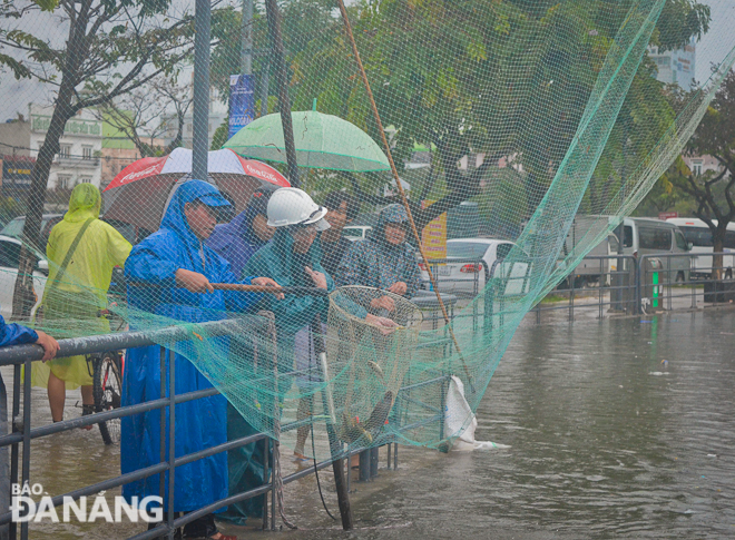 Người dân thành phố bắt cá trên đường sau cơn mưa lớn