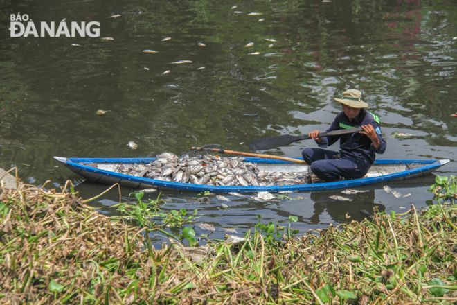 Xuất hiện cá chết tại hồ điều tiết Hòa Phú