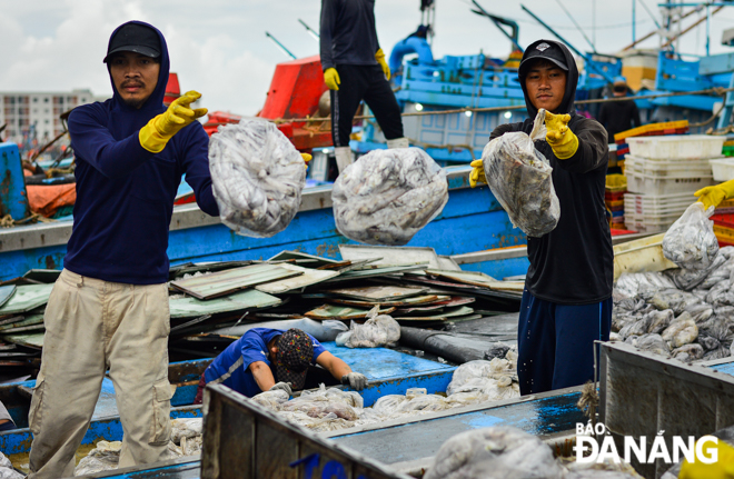 Một số loại cá nhỏ được đóng thành túi để bán cho các công ty chế biến thủy sản làm thức ăn chăn nuôi. Ảnh: XUÂN SƠN