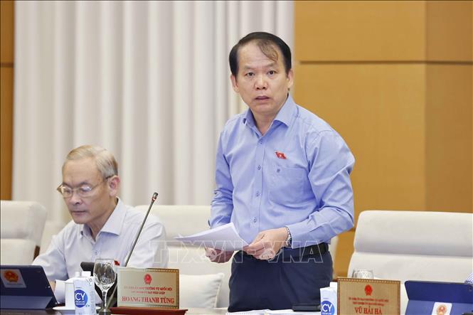 Chủ nhiệm Ủy ban Pháp luật của Quốc hội Hoàng Thanh Tùng trình bày báo cáo thẩm tra. Ảnh: Doãn Tấn/TTXVN