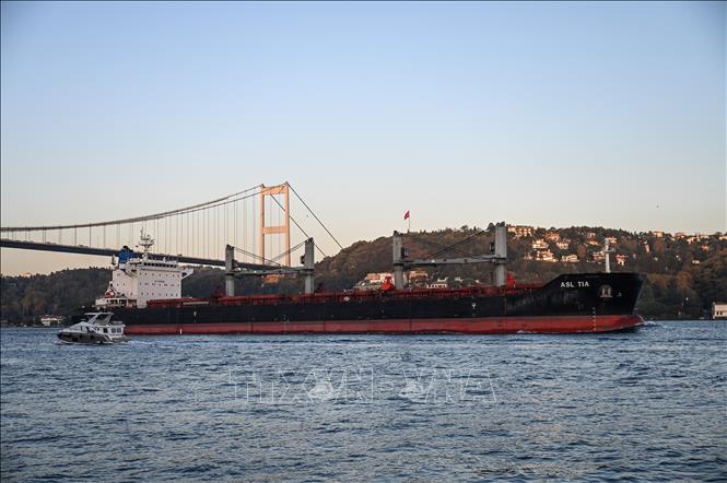 Tàu chở ngũ cốc của Ukraine di chuyển qua Eo biển Bosphorus ở Istanbul, Thổ Nhĩ Kỳ ra khu vực biển Marmara, ngày 2/11/2022. Ảnh: AFP/TTXVN