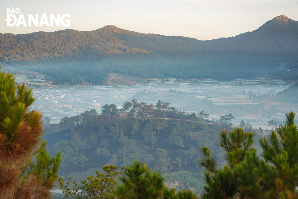 Những địa danh như: đồi Đa Phú, đồi chè Cầu Đất, đồi Thiên Phúc Đức, đỉnh Lang Biang… được du khách lựa chọn để săn mây, ngắm bình minh.	