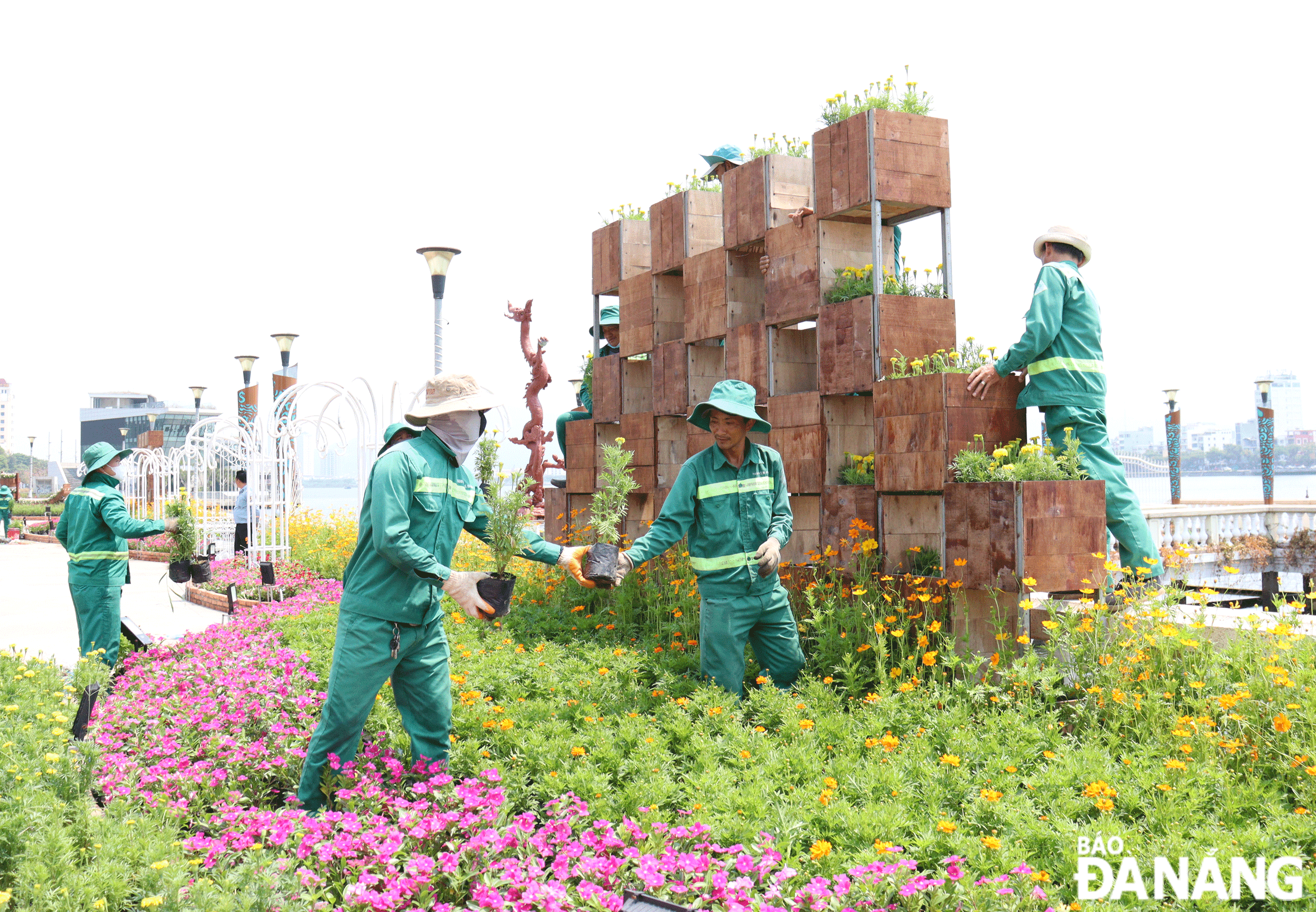 Trang trí 3 vườn hoa trên vỉa hè đường Bạch Đằng phục vụ dịp lễ và mùa du lịch hè