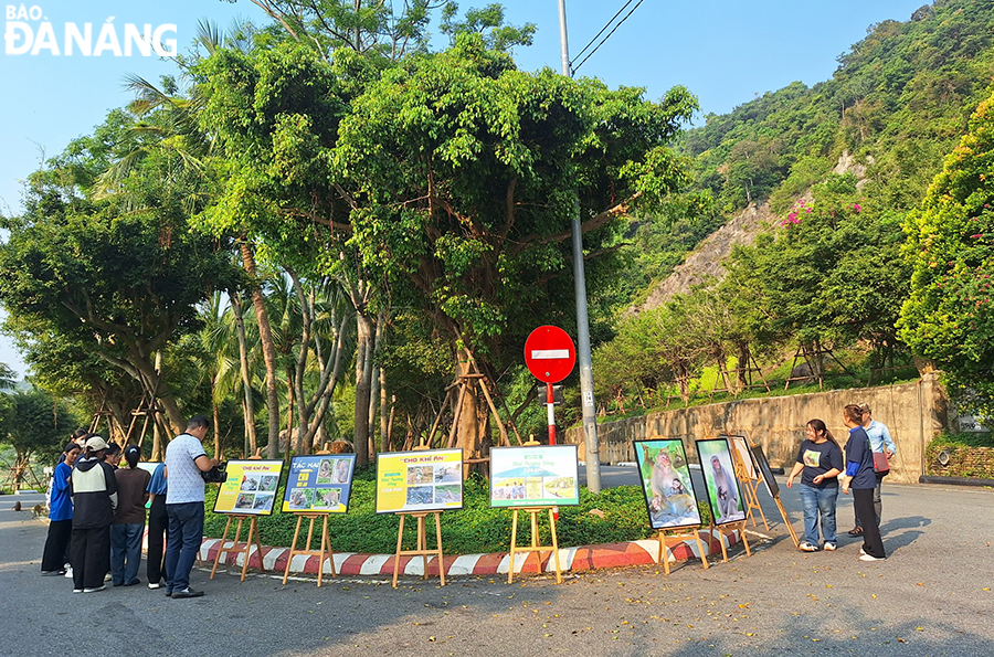 Trưng bày triển lãm ảnh “Bảo vệ động vật hoang dã” tại Khu vực vườn hoa phía trước Intercontinental Danang Sun Peninsula Resort. Ảnh: THU HÀ