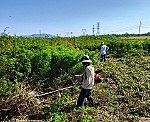 Phát huy vai trò hội nông dân trong phát triển kinh tế