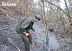 Kịp thời dập tắt cháy rừng tại xã Hòa Phú