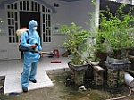 Diệt Mối 24H - Nơi diệt mối tại nhà uy tín, chuyên nghiệp ở Đà Nẵng