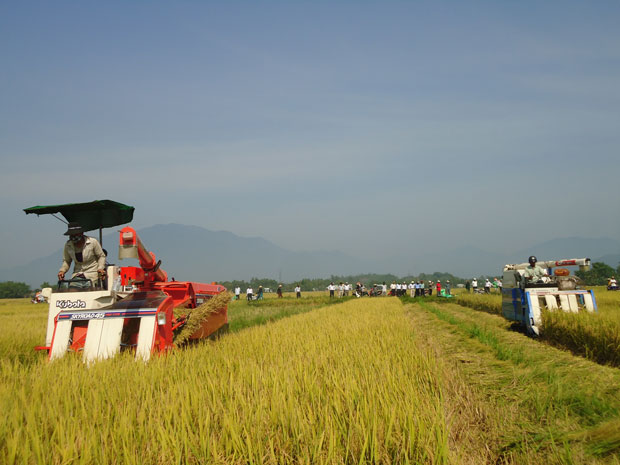 Diện mạo nông thôn mới Hòa Vang ngày càng hiện đại. Ảnh: N.C