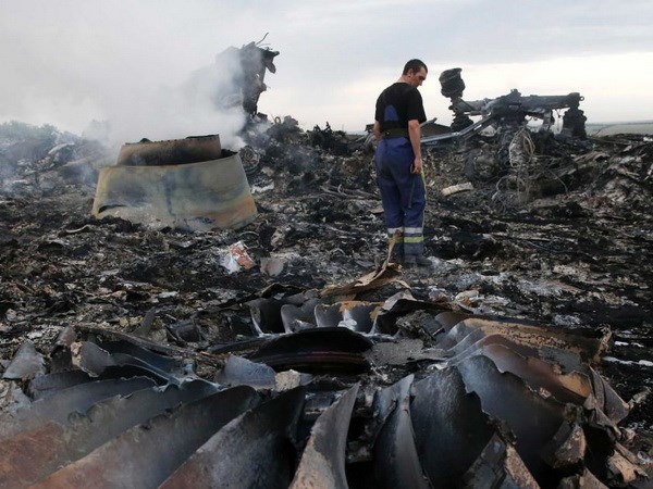 Hiện trường máy bay MH17 của Malaysia rơi tại Ukraine. (Nguồn: Reuters)
