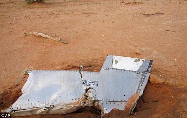 Một mảnh vỡ của chiếc máy bay MD83