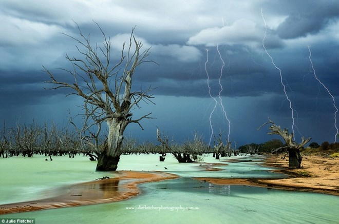 Quang cảnh gây rùng mình này được chụp ở hồ Menindee, tận cùng phía tây New South Wales, và được đăng trên tờ National Geographic của Pháp vào tháng 5. Fletcher cho biết 