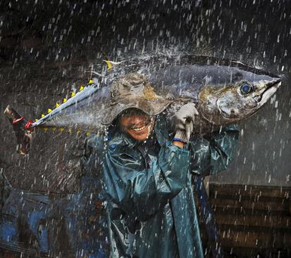  “Qua Tu Bien Ca” (A Gift from the Sea) by Than Nguyen received a silver medal