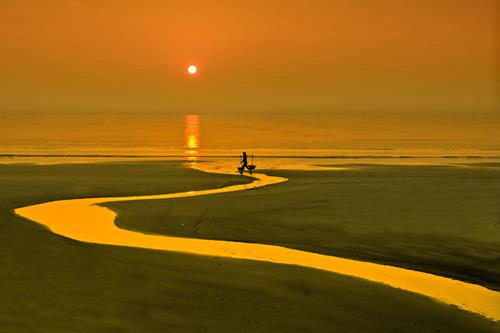  “Cho Som” (Carrying Goods for Sale in the Early Morning) by Huynh Nam Dong gained a consolation prize