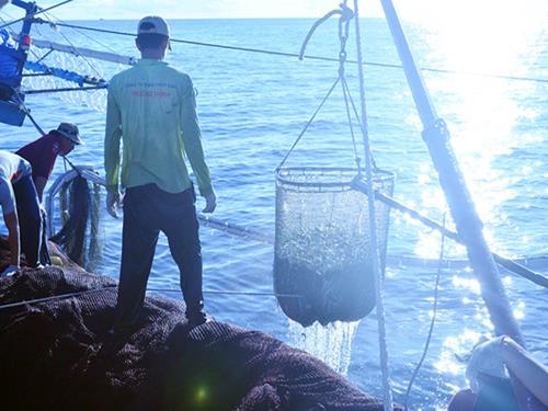  Raising a basket full of fish