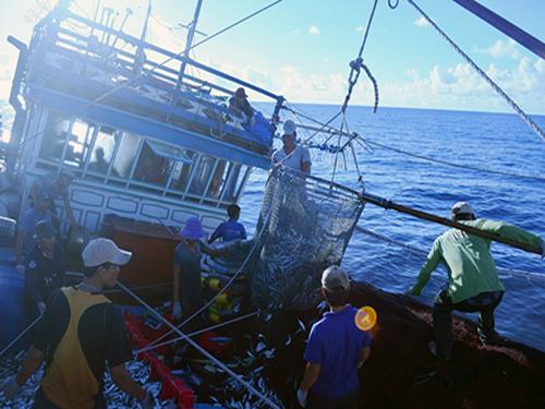    Unloading into the boat