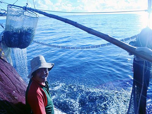   A local fisherman pleased with the bumper catches