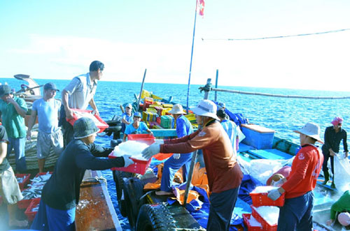  Loading ice onto fishing boat QB 91557