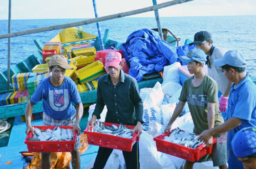 Loading baskets of fresh scad fish onto the fisheries support ship