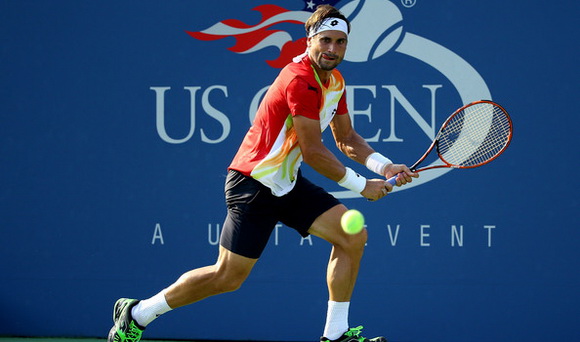  David Ferrer