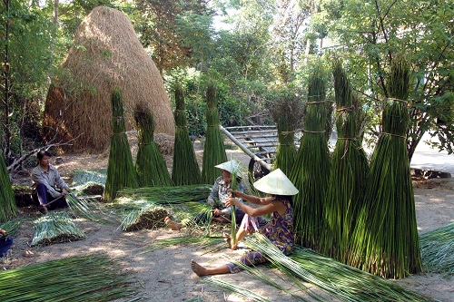 After harvesting, the bundles of sedge are brought home to be split into fibres