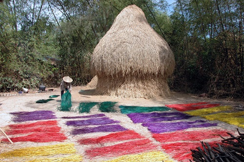       Then, the sedge fibres are cleaned, dyed with various colours, and dried under the sun