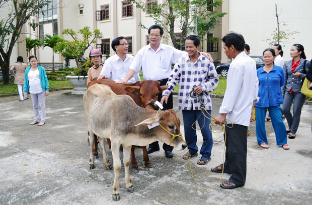 Hỗ trợ bò giống cho hộ nghèo.