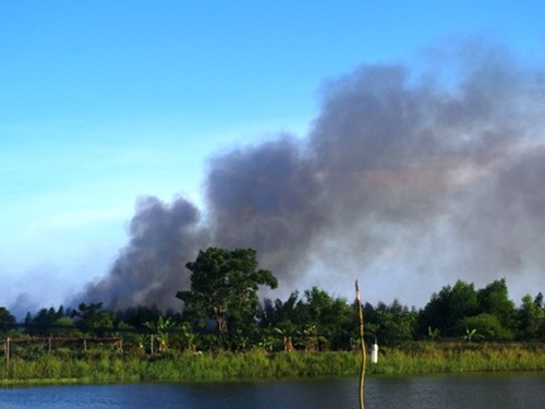 Đám cháy lớn bùng phát tại khu rừng bạch đàn gần sân bay Đà Nẵng