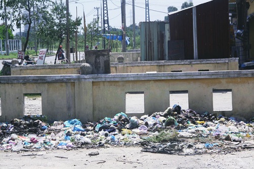 The impact of plastic bags on the environment