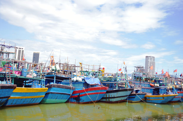 Cần chú trọng hiệu quả trong đầu tư cho phát triển thủy sản; nhất là cho vay đóng tàu lớn vươn khơi đánh bắt xa bờ. 							            Ảnh: NGỌC PHÚ