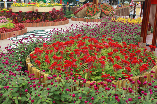  Flowers displayed on Bach Dang Street during the Tet festival 2014