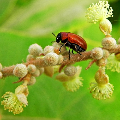 Colourful nature of spring