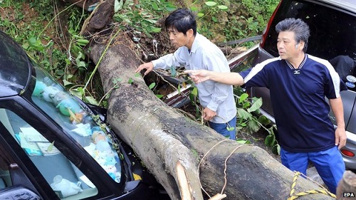 The powerful typhoon has felled trees and damaged houses