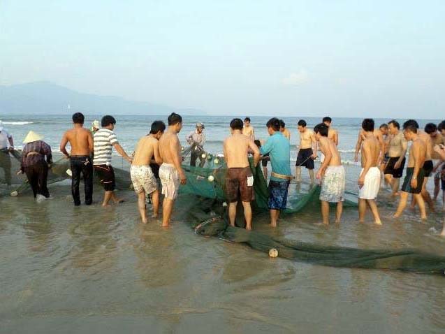 Những người đi tắm biển xem mẻ lưới được kéo lên
