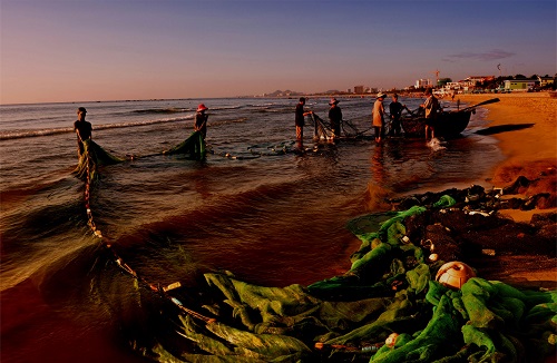 Local fishermen busy pulling in their fishing nets