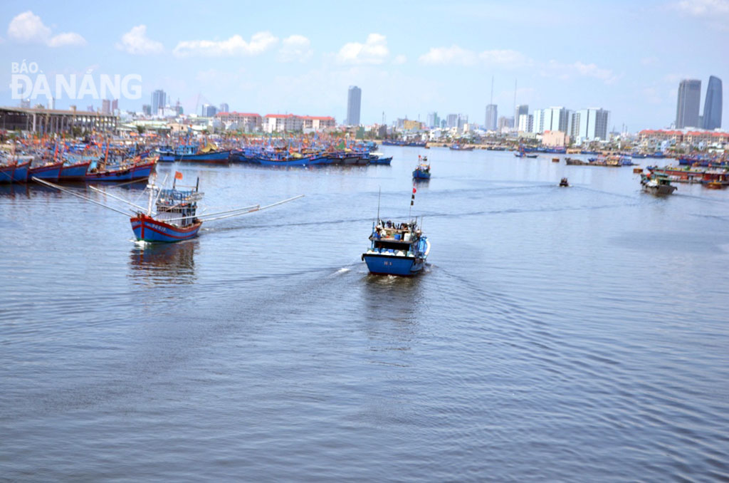 Nghiêm cấm tàu thuyền ra khơi trong bão 