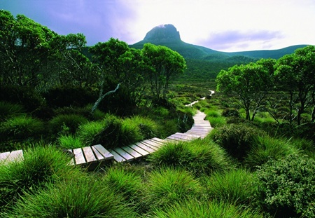 Tasmania - địa điểm cách nam Úc chừng 240 km với cảnh sắc thiên nhiên tuyệt đẹp và có món hàu tươi ngon nhất thế giới