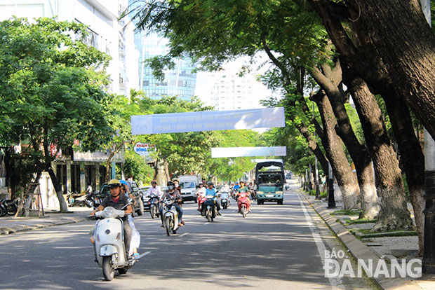 Hàng cây xanh phủ bóng mát là hình ảnh tạo ấn tượng khó phai cho những ai đi trên “cung đường xanh” - Trần Phú (Ảnh: TRỌNG HUY).