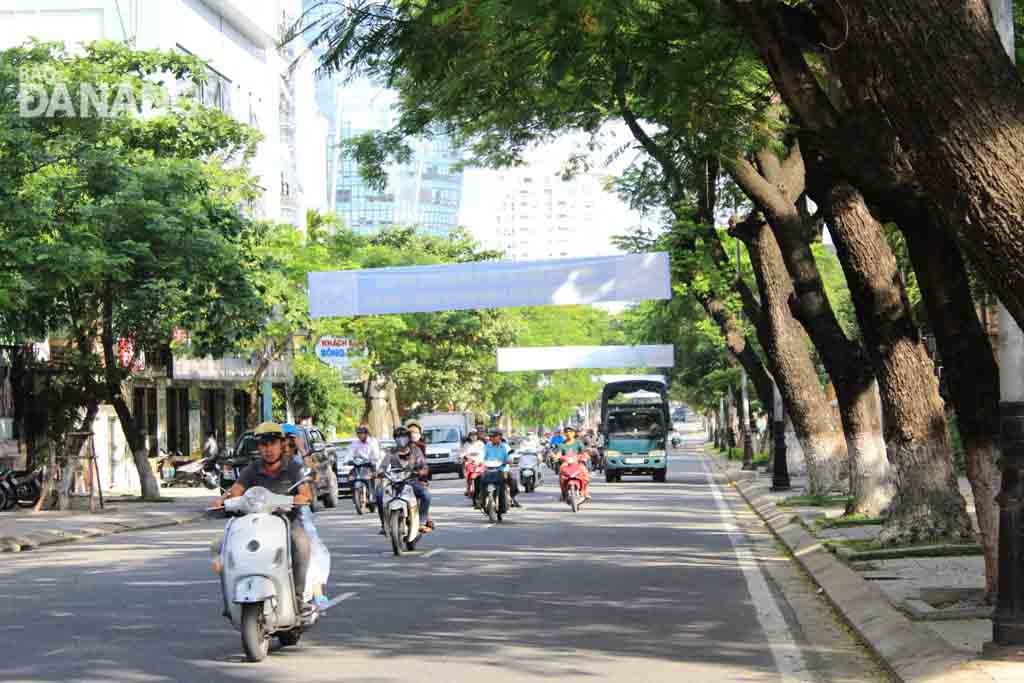 Hàng cây xanh phủ bóng mát là hình ảnh tạo ấn tượng khó phai cho những ai đi trên “cung đường xanh” - Trần Phú 