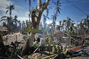 Hagupit wreaks havoc in Taft town, east of Samar on December 8